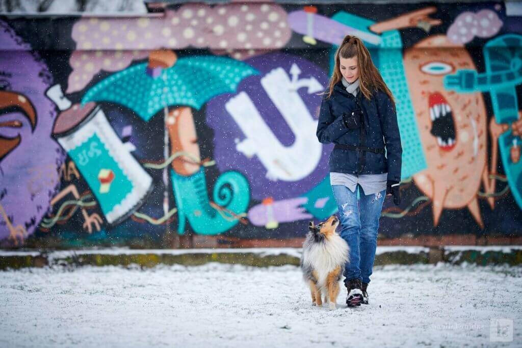 Renate & Pongo Sheltie Schnee Grafitti