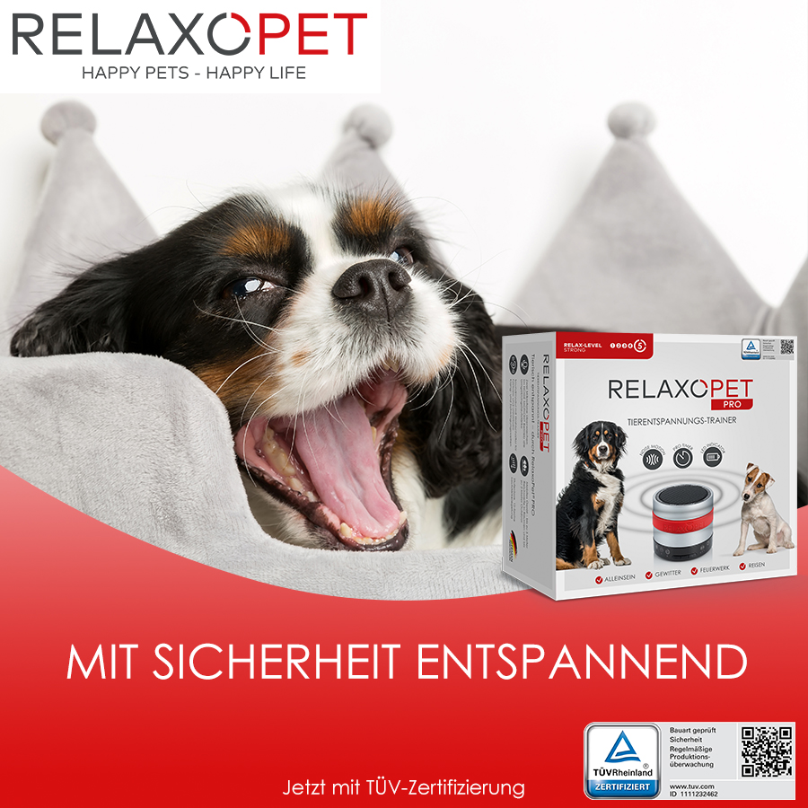 RelaxoPet PRO Hunde 🐶 Wedelwerk