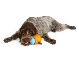 westpaw-toppl-leckerlie-versteck-fuer-hunde-nach-operation-22145_600x600